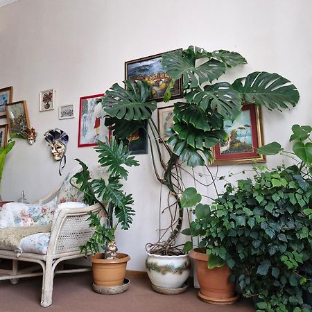 Tamari Guest House 텔라비 외부 사진