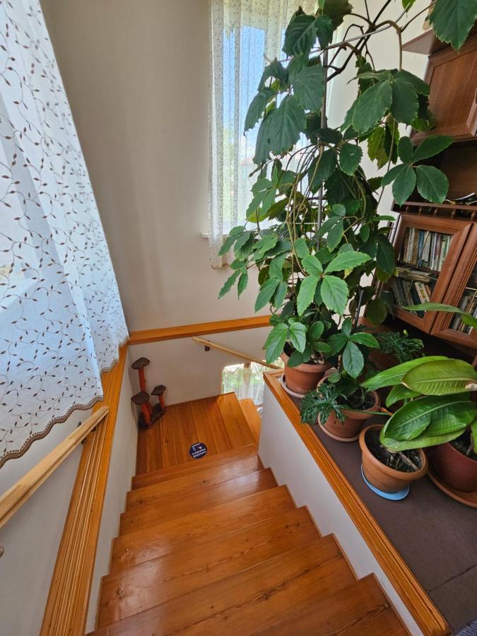 Tamari Guest House 텔라비 외부 사진