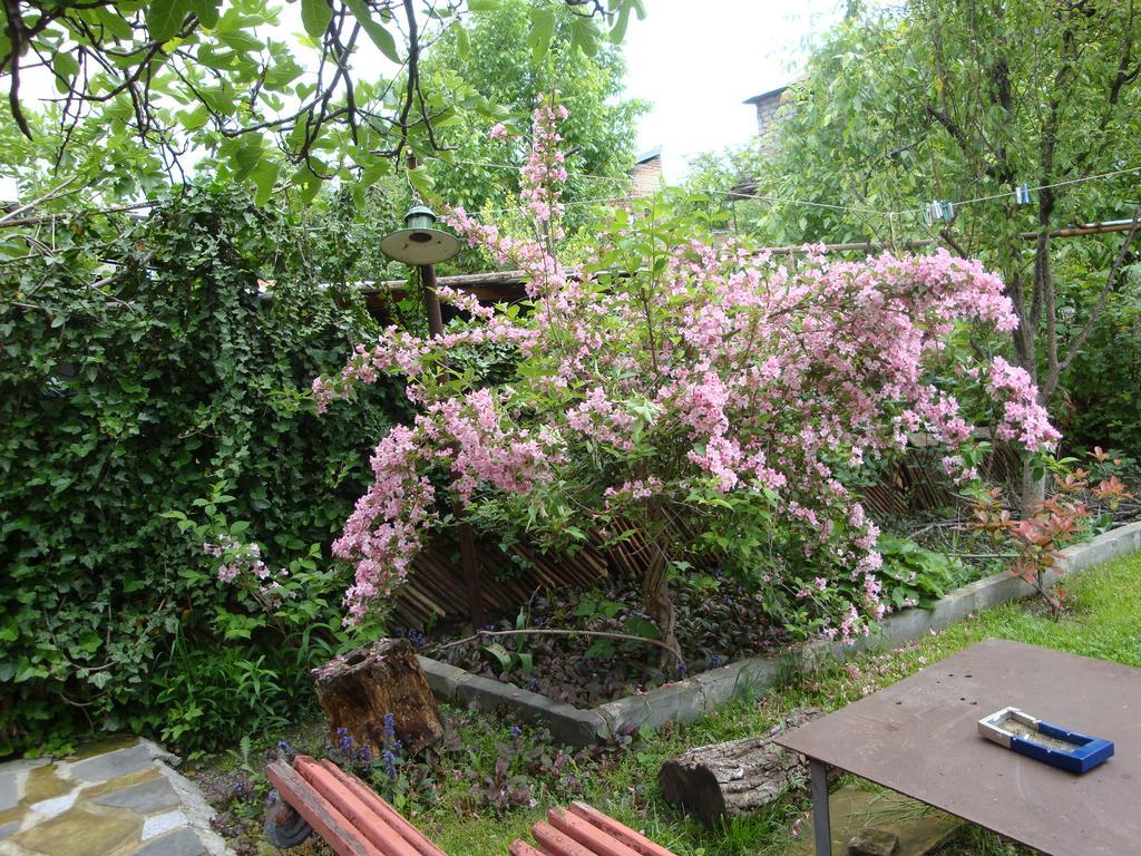 Tamari Guest House 텔라비 외부 사진